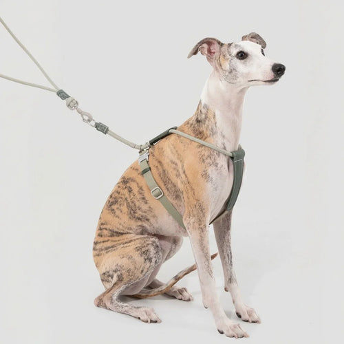 Big Dog Harness Dog Leash Leather Round Rope Chest Harness Adjustable I-shaped Traction Rope Chest Strap Pet Outdoor Supplies