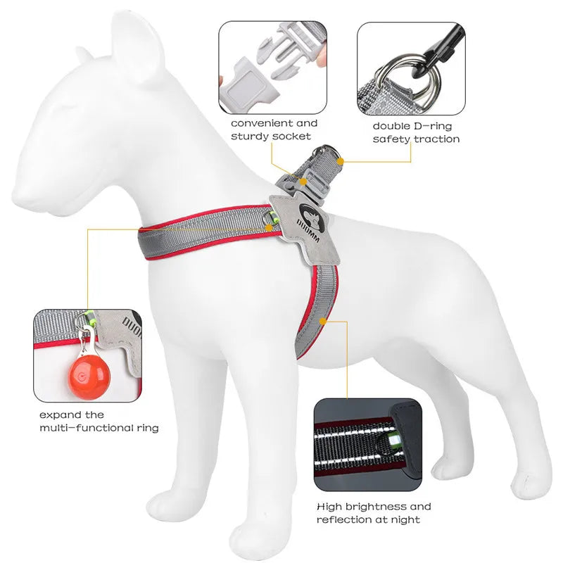 Dog harness with features highlighted on a white background